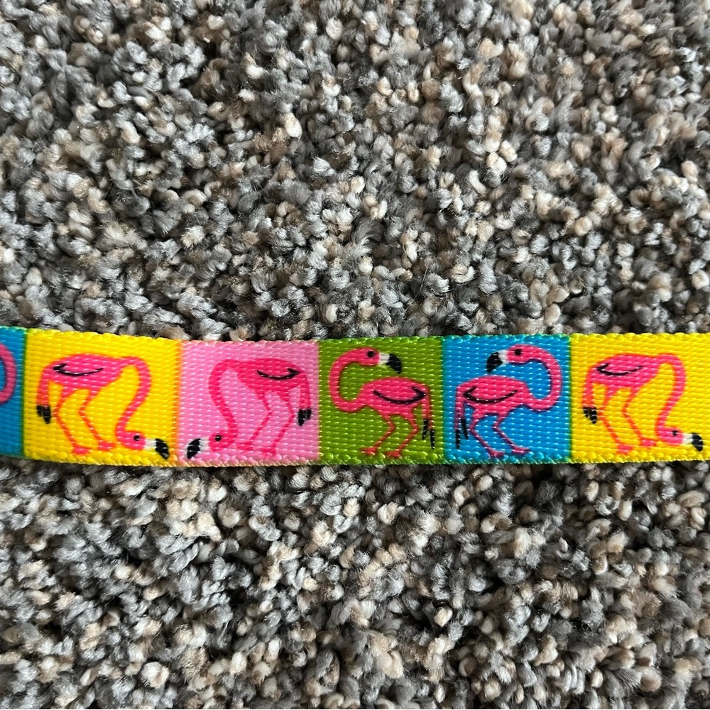 Adjustable Dog Collar